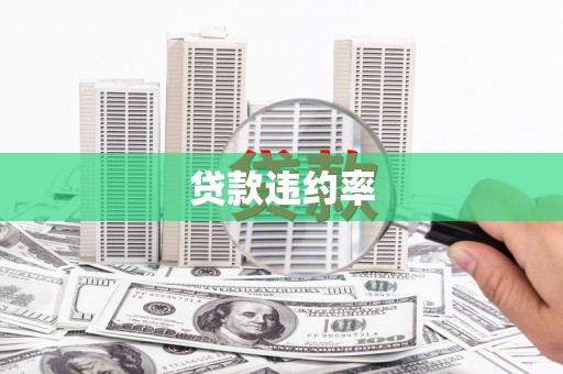 宣州贷款违约率