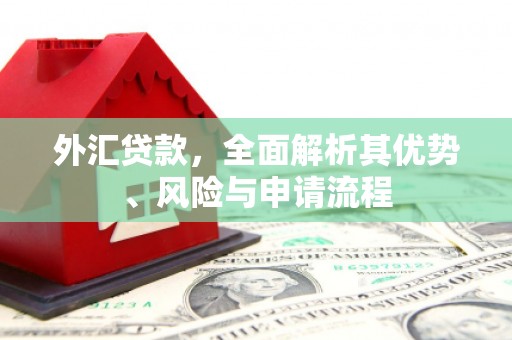 宣州外汇贷款，全面解析其优势、风险与申请流程