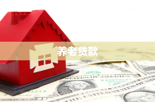宣州养老贷款