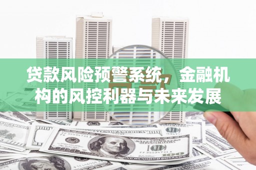 宣州贷款风险预警系统，金融机构的风控利器与未来发展
