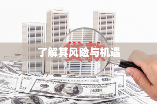 宣州了解其风险与机遇
