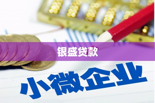 宣州银盛贷款