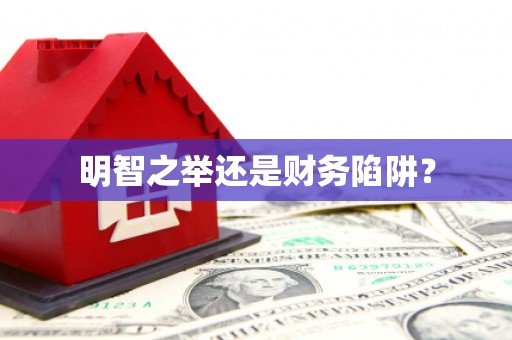 宣州明智之举还是财务陷阱？
