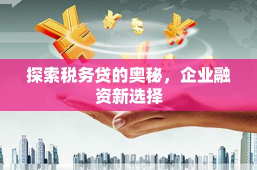 宣州探索税务贷的奥秘，企业融资新选择