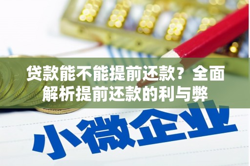 宣州贷款能不能提前还款？全面解析提前还款的利与弊