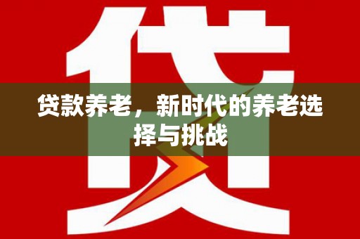 宣州贷款养老，新时代的养老选择与挑战