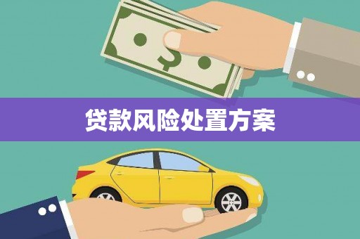 宣州贷款风险处置方案