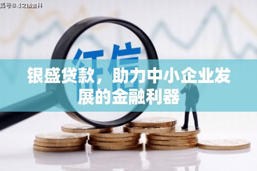 宣州银盛贷款，助力中小企业发展的金融利器
