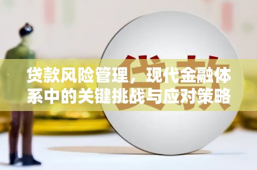 宣州贷款风险管理，现代金融体系中的关键挑战与应对策略