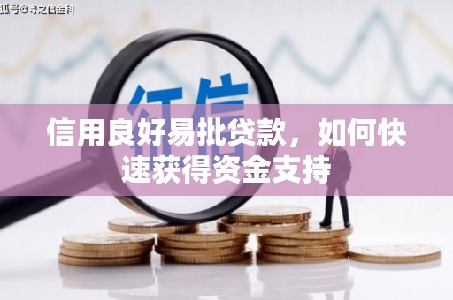 宣州信用良好易批贷款，如何快速获得资金支持