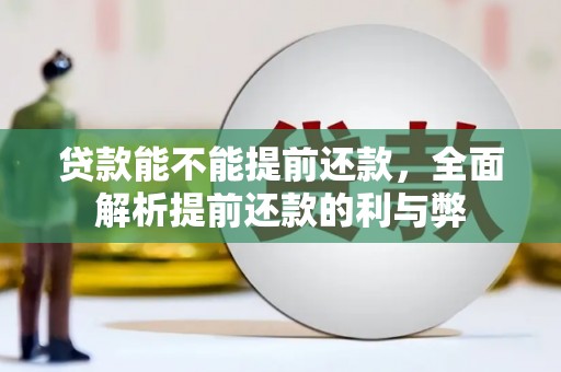 宣州贷款能不能提前还款，全面解析提前还款的利与弊