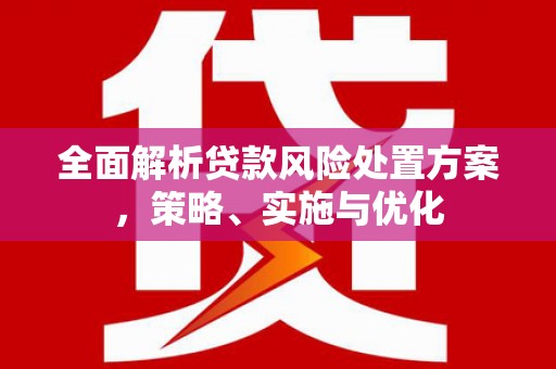 宣州全面解析贷款风险处置方案，策略、实施与优化