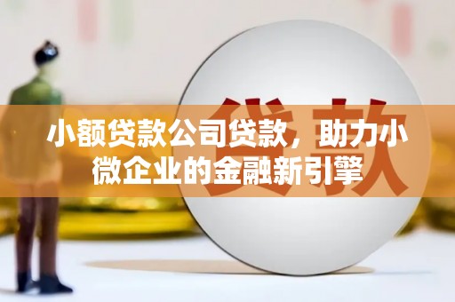 宣州小额贷款公司贷款，助力小微企业的金融新引擎