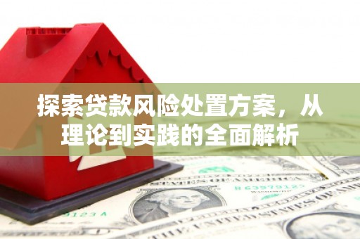宣州探索贷款风险处置方案，从理论到实践的全面解析