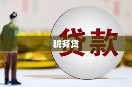 宣州税务贷