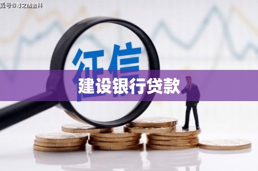 宣州建设银行贷款