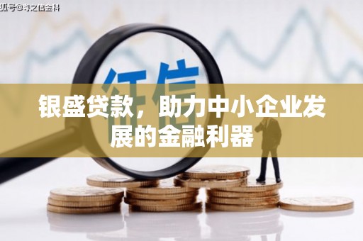 宣州银盛贷款，助力中小企业发展的金融利器