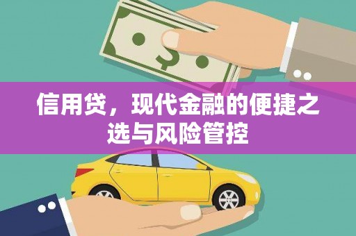 宣州信用贷，现代金融的便捷之选与风险管控
