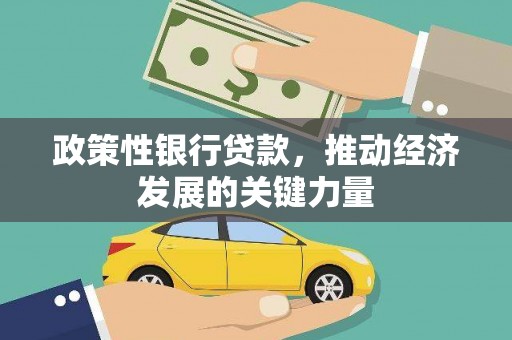 宣州政策性银行贷款，推动经济发展的关键力量