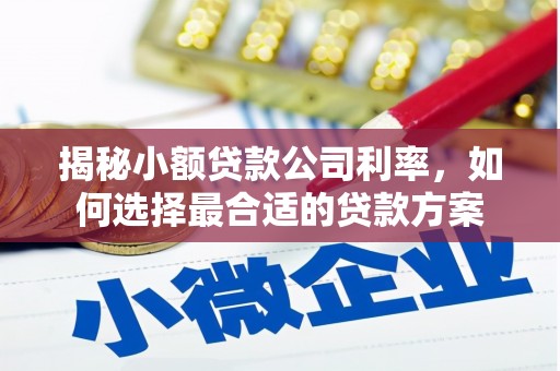 宣州揭秘小额贷款公司利率，如何选择最合适的贷款方案