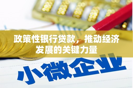 宣州政策性银行贷款，推动经济发展的关键力量