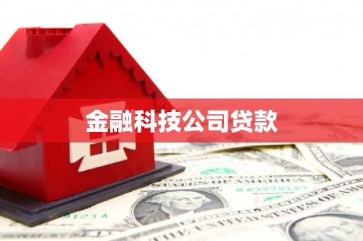 宣州金融科技公司贷款