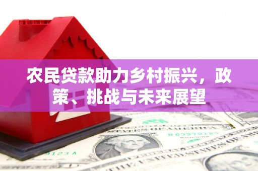 宣州农民贷款助力乡村振兴，政策、挑战与未来展望