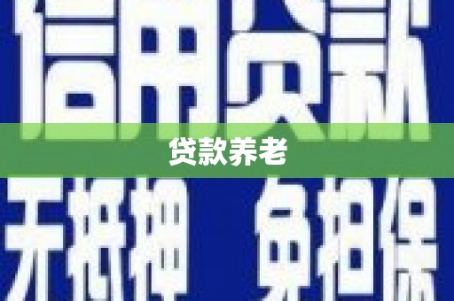 宣州贷款养老