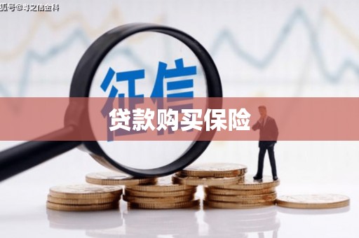 宣州贷款购买保险