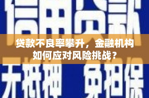 宣州贷款不良率攀升，金融机构如何应对风险挑战？