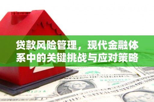 宣州贷款风险管理，现代金融体系中的关键挑战与应对策略