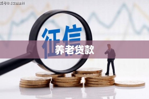 宣州养老贷款