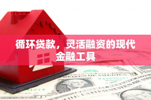 宣州循环贷款，灵活融资的现代金融工具