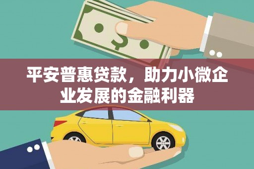 宣州平安普惠贷款，助力小微企业发展的金融利器