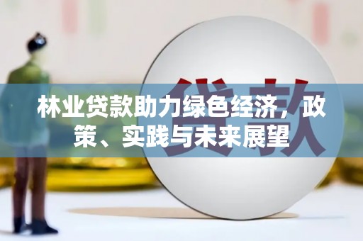 宣州林业贷款助力绿色经济，政策、实践与未来展望