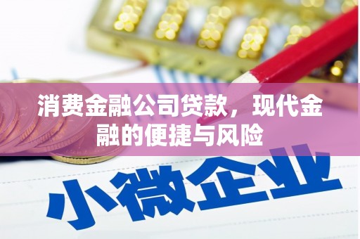 宣州消费金融公司贷款，现代金融的便捷与风险