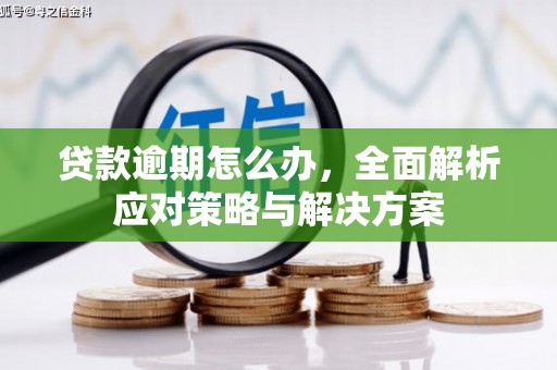 宣州贷款逾期怎么办，全面解析应对策略与解决方案